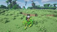 Experience orbs around the player (Image via Minecraft)
